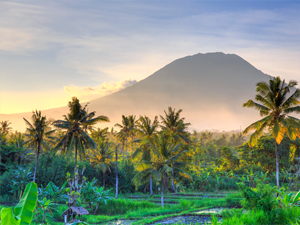 Tropical Forest with Agung Volcano in the background.