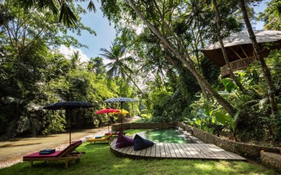 Bamboo Turtles is located on the banks of a river.